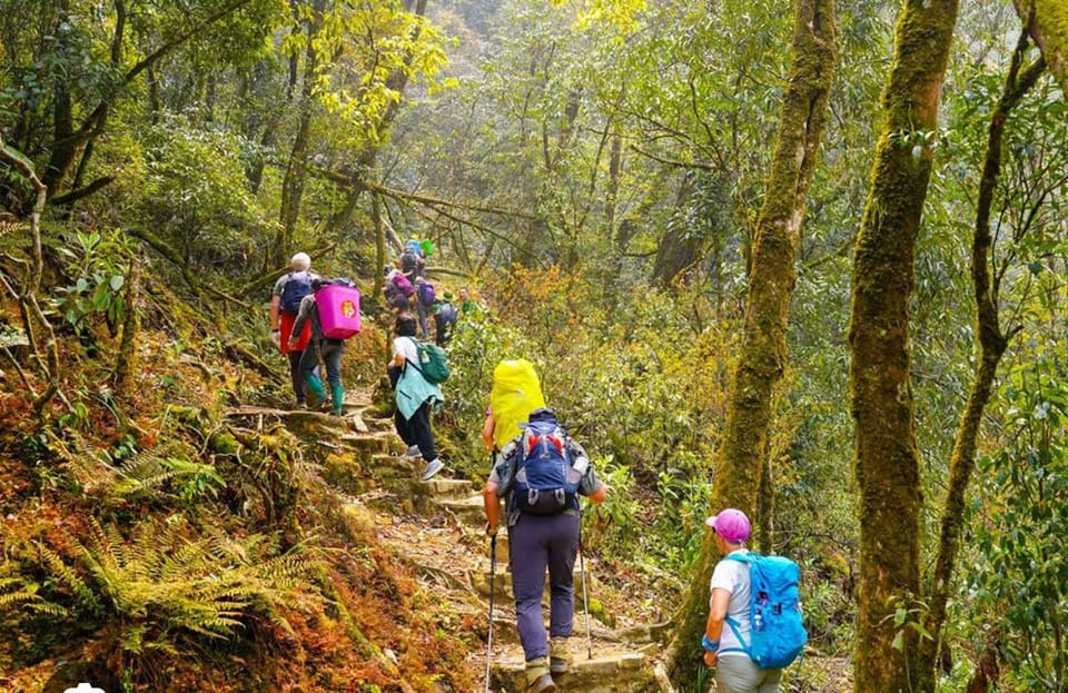 HIKE FANXIPAN MOUNTAIN TOUR 1DAY - Key highlights to expect
