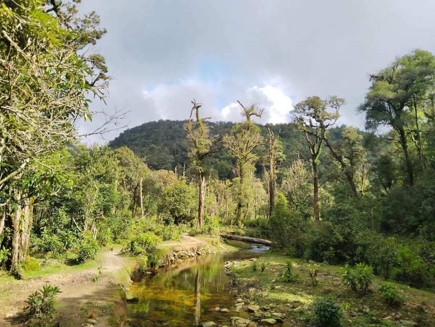 HIKE FANXIPAN MOUNTAIN TOUR 1DAY - Who should book this 1-day Fanxipan hike
