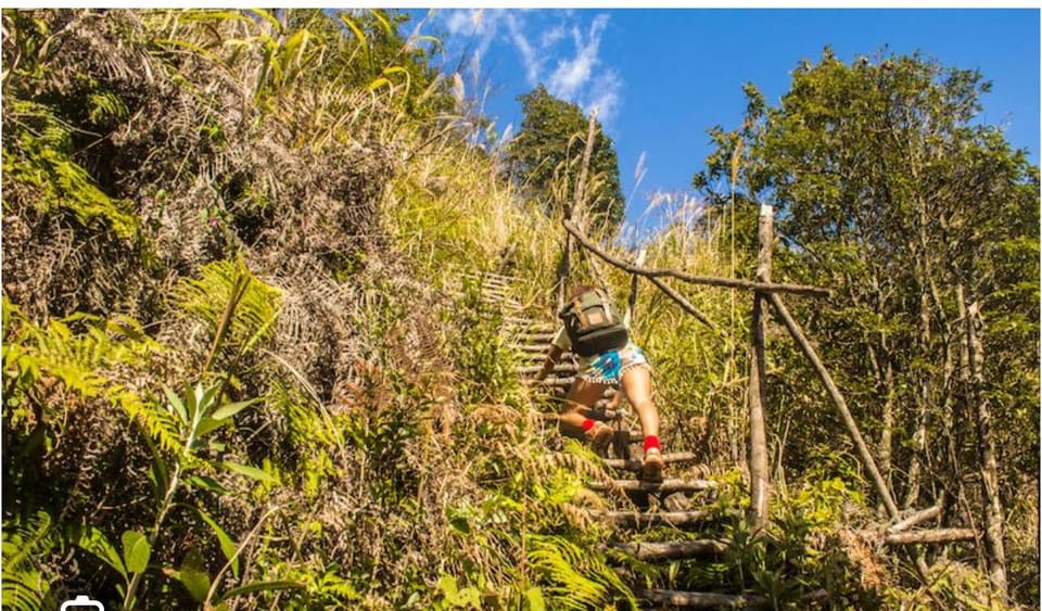 HIKE FANXIPAN MOUNTAIN TOUR 1DAY - Hoang Lien National Park: where the ecology changes with every section