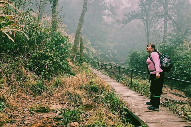 Hiking Fansipan in 1 day - Your day on the trail: 6:00 am start, steady climbs, and a village reset