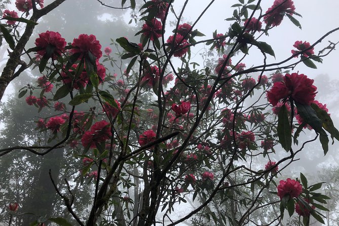 Hiking Fansipan in 1 day - Stop by stop: what to expect along the route