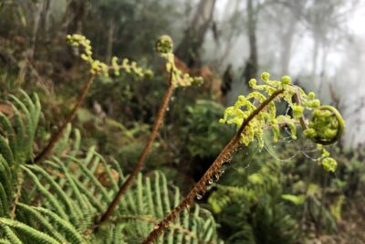 Hiking Fansipan in 1 day - Elevation and effort: why this hike demands a strong fitness level