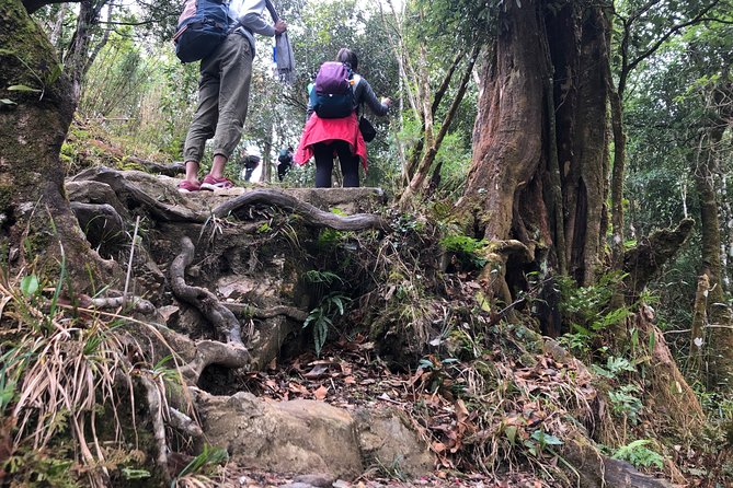 Hiking Fansipan in 1 day - Price and value: is $99 a fair deal for Fansipan in one day?