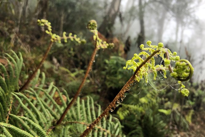 Hiking Fansipan in 1 day - Elevation and effort: why this hike demands a strong fitness level