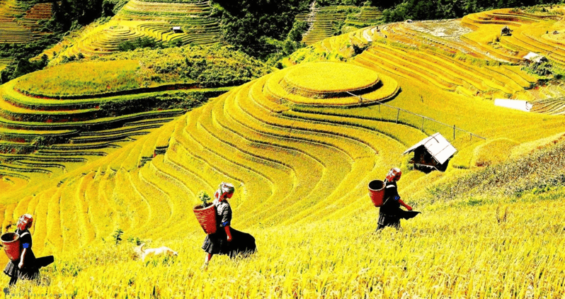 Journey Through Sapa Terraces & Traditions - The Hmong Village Pass and a Hanging Bridge Moment Over Muong Hoa