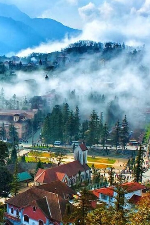 Journey Through Sapa Terraces & Traditions - Bamboo Forest Climb: When the Trek Changes Texture