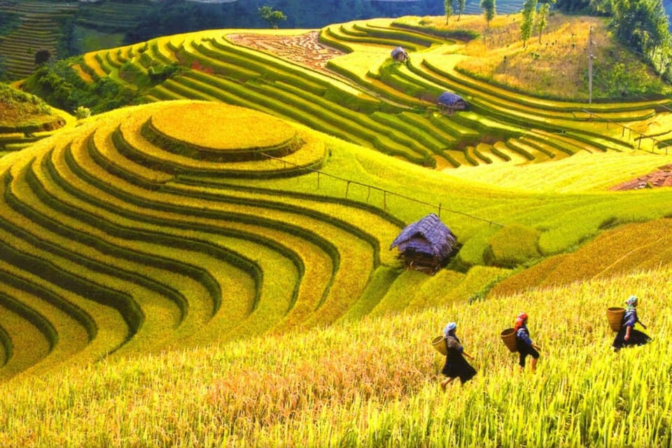 Journey Through Sapa Terraces & Traditions - Y Linh Ho Lunch: A Local Family Meal That Ends the Morning Right