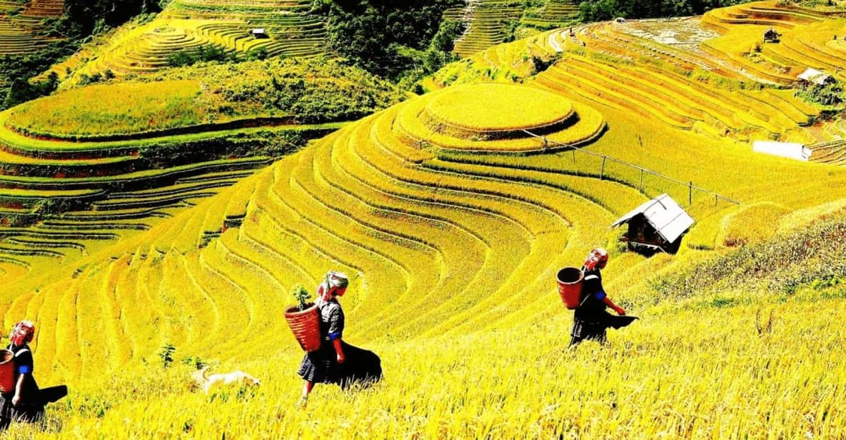 Journey Through Sapa Terraces & Traditions - Lao Chai and Black Hmong Village Time: Cultural Stops With Context
