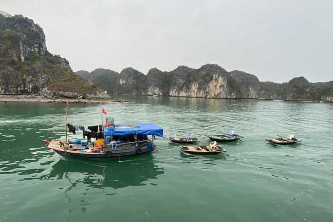 Kayak Adventure Experience at Lan Ha Bay - Monkey Island: Wildlife Potential Without the Pressure