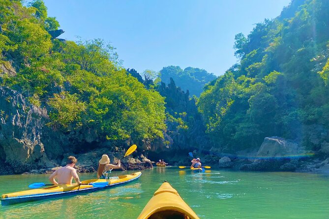 Kayak Adventure Experience at Lan Ha Bay - Wildlife Spotting Without Guesswork