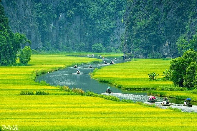 Luxury Hoa Lu - Tam Coc 1 Day Tour From Hanoi - By Limousine & Small Group - Lunch at the right time: buffet value in Ninh Bình