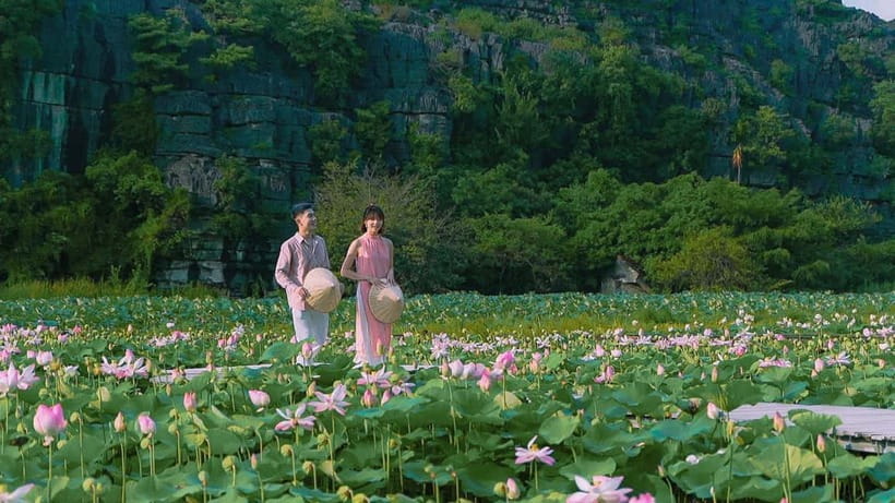 Luxury Limousine Tour: Hoa Lu, Trang An/Tam Coc & Mua Cave - Ninh Binh lunch: filling Vietnamese food, plan around the heat