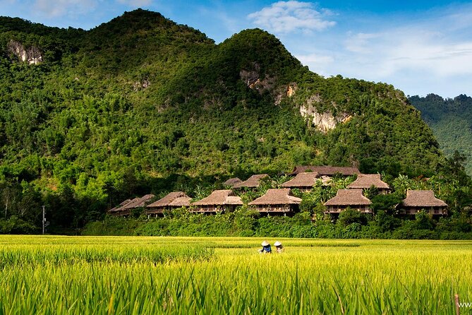 Luxury Mai Chau Day Tour from Hanoi - Thai minority family visit: traditions you can actually see
