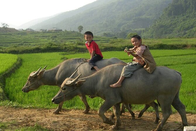 Luxury Mai Chau Day Tour from Hanoi - Lac village and the biking route through rice fields and limestone mountains