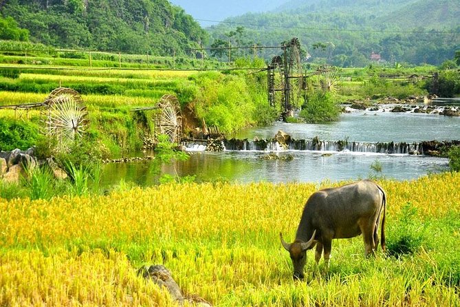 Mai Chau 1 Day Tour From Hanoi - How to pack for this day trip (so you don’t suffer quietly)