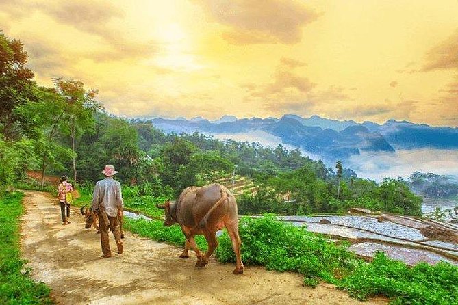MAI CHAU 1 DAY TOUR | HIDDEN CHARM | SHARED or PRIVATE OPTIONS - Thung Khe Pass: the short market stop that breaks up the drive