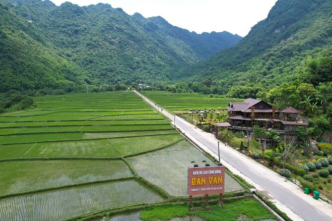 Mai Chau Day Tour from Hanoi – Bike & Ethnic Village Experience - The Muong market stop: culture without the hard sell