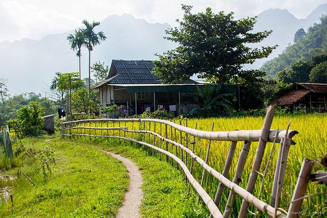 Mai Chau Nature and Village Private Day Tour - Old Quarter pickup to Mai Chau Town: the morning rhythm