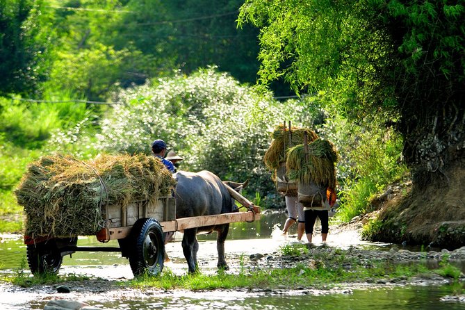 Mai Chau Private Day Tour: Hiking & Biking in Pristine Landscapes - Getting to Mai Chau: Pickup, the Drive, and How to Prepare