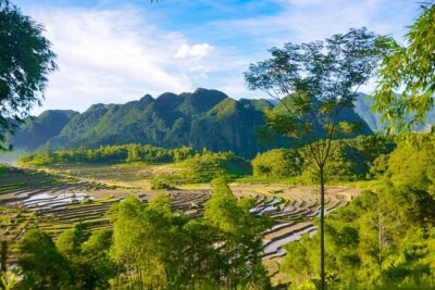 Mai Chau Private Day Tour: Hiking & Biking in Pristine Landscapes - Mai Chau Arrival: Tea Welcome and White Thai Lunch Time