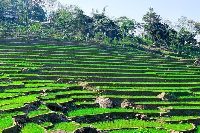 Mai Chau - Pu Luong 2 days - Price and logistics: what $165.63 really buys for two days