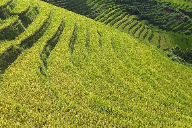 Mai Chau – Pu Luong 2D1N - Key things that make this Mai Chau–Pu Luong 2D1N worth your time