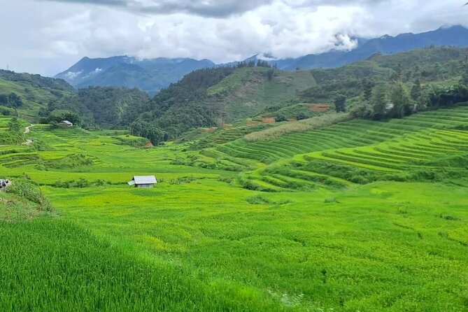 Mai Chau – Pu Luong 2D1N - Mai Chau on arrival: Thai culture and your stilt-house night