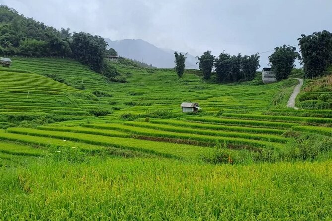 Mai Chau – Pu Luong 2D1N - Price and logistics: what you’re paying for (and what you’re not)