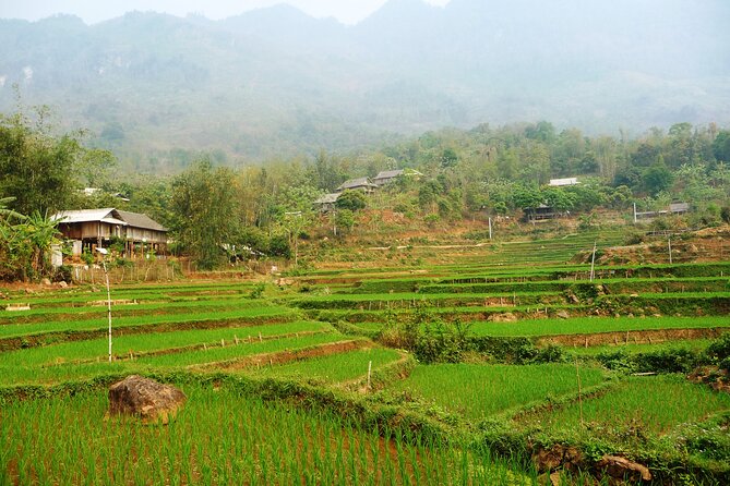 Mai Chau – Pu Luong 2D1N - Who should book this Mai Chau–Pu Luong 2D1N (and who should skip it)