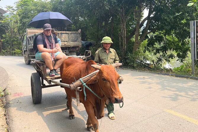 Majestic Ninh Binh Discovery: Mua Cave & Tam Coc private tour - Guides and on-the-ground care: what to expect