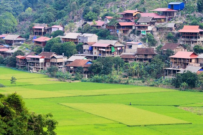 Majesty Of Untouched Northern Vietnam Tour 6 Days - Day 6: Ba Be Lake Boating, Cam Village Walk, and Puong Cave