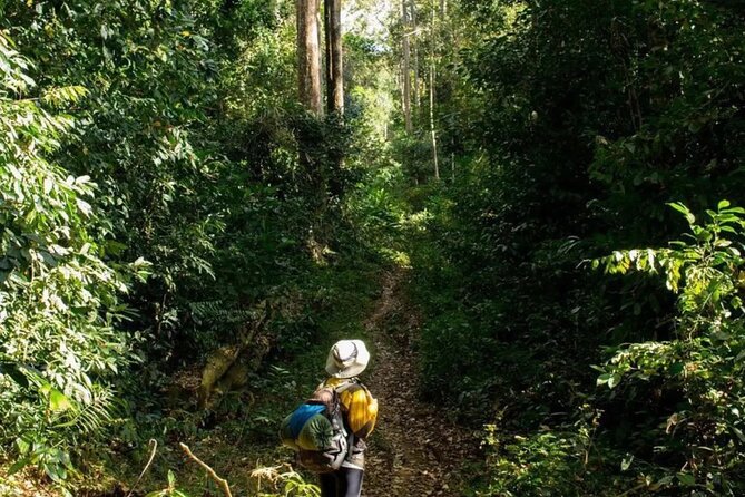 Mount Fansipan 2 Days Trek – Roof of Indochina - Why Fansipan is the Roof of Indochina