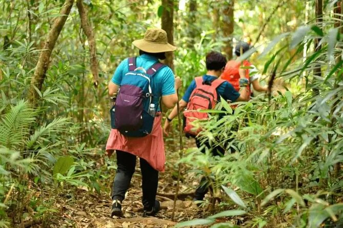 Mount Fansipan 2 Days Trek – Roof of Indochina - Food, gloves, and porter support that keep the trek sane