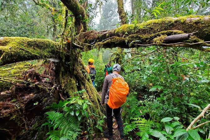 Mount Fansipan 2 Days Trek – Roof of Indochina - Weather planning for Fansipan: how to make peace with clouds