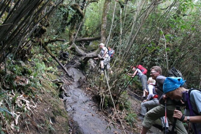 Mount Fansipan 2 Days Trek – Roof of Indochina - Guides in the spotlight: what you’ll get from the local team