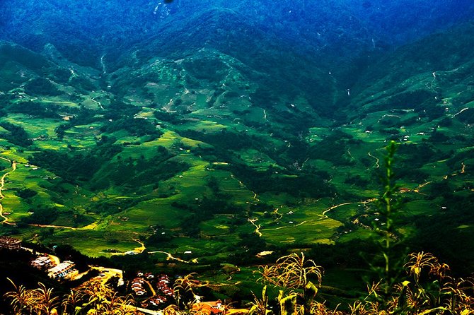 Mountain views and villages trek – 1 Day - Reading the Muong Hoa Valley rice terraces like a local