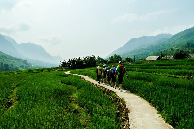 Mountain views & Rice Terraced Fields Hiking – 2D 1N - Why This Sapa Trek Feels More Real Than a Standard “Tour Bus” Day