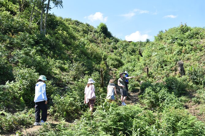 Muong Hoa Valley View & Village Trek in Sapa 1 Day - Into Muong Hoa Valley villages: the cliff road and the quieter pace