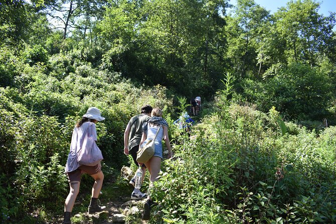 Muong Hoa Valley View & Village Trek in Sapa 1 Day - Hau Thao: rice terraces, bamboo forest, and the white-cloud look