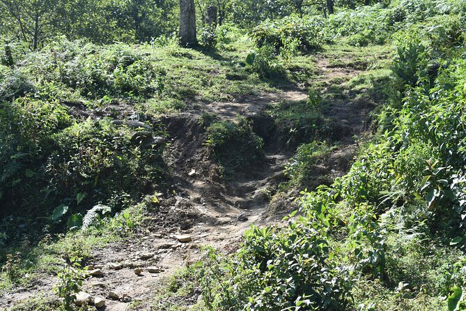 Muong Hoa Valley View & Village Trek in Sapa 1 Day - Price and value check for $53 in Sapa