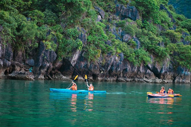 New Cruise Ha Long - CATAMARAN PREMIUM - The Ha Long Bay cruise segment: big views, built-in photo moments
