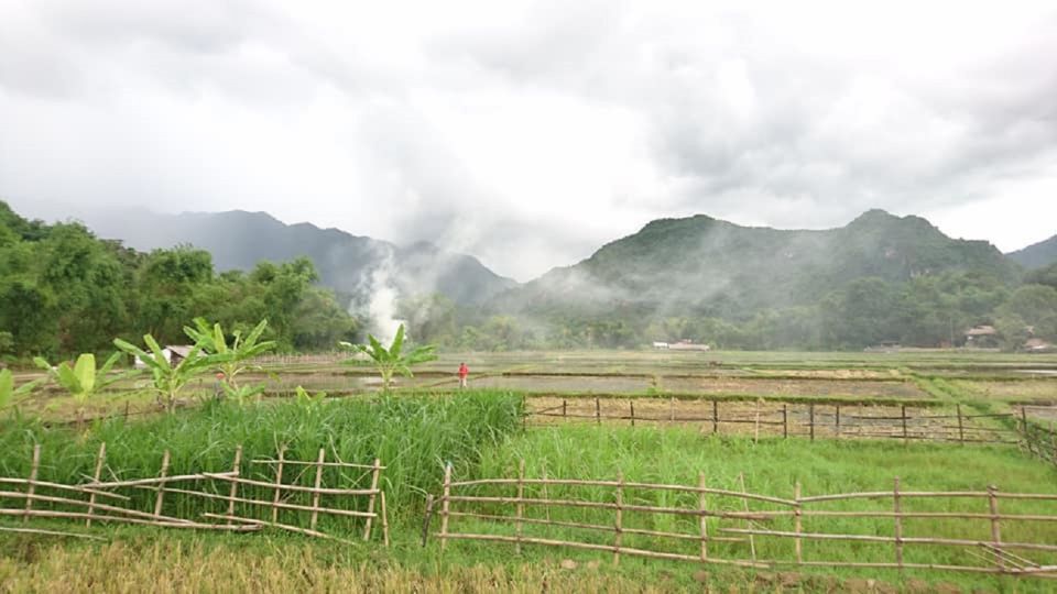 Ninh Binh: 2-Day Excursion with Guide and Activities - Key highlights worth your attention