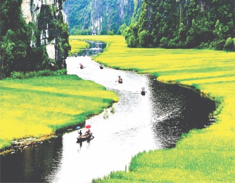 Ninh Binh: 2-Day Excursion with Guide and Activities - Cuc Phuong National Park (Option 3): primates, forest walks, and Early Man