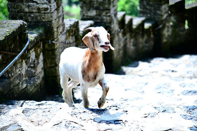 Ninh Binh 2 days 1 night Tour from Hanoi (Small Group of 9) - The bungalow overnight: where rest and meals matter