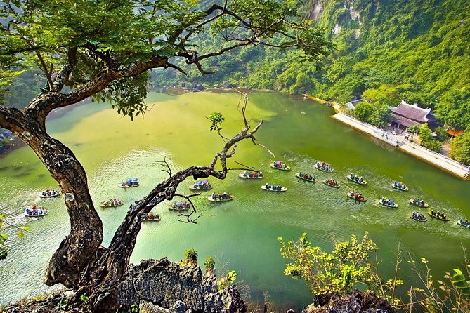 Ninh Binh - Bai Dinh Pagoda - Trang An Landscape Complex - Mua cave 1 Day Tour - Mua Cave: The Nearly 500-Step Climb and What the View Gives You