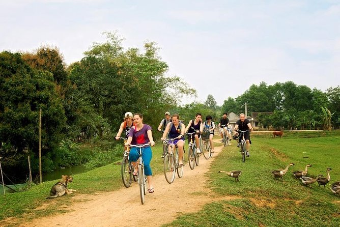 Ninh Binh - Bai Dinh - Trang An full day trip from Hanoi with luxury transfers - Hotel pick-up that saves your morning