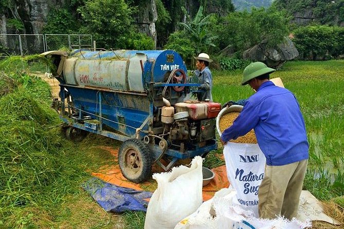 Ninh Binh - Bai Dinh - Trang An full day trip from Hanoi with luxury transfers - Trang An by boat: Sao Khe River caves and real sun time