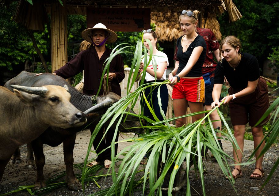 Ninh Binh: Buffalo riding, rice planting group tour - Key highlights you will feel fast