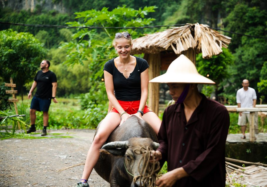 Ninh Binh: Buffalo riding, rice planting group tour - Buffalo riding: what you do, what you should expect, and how to enjoy it
