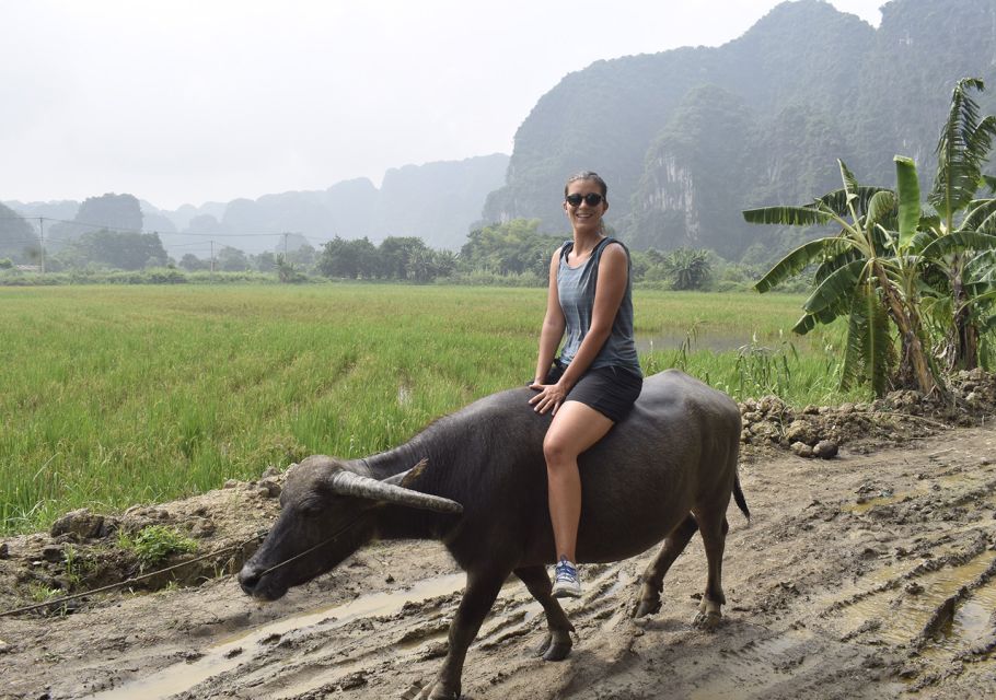 Ninh Binh: Buffalo riding, rice planting group tour - Waterfall bathing and Buffalo Cave visit: cool down without losing the vibe
